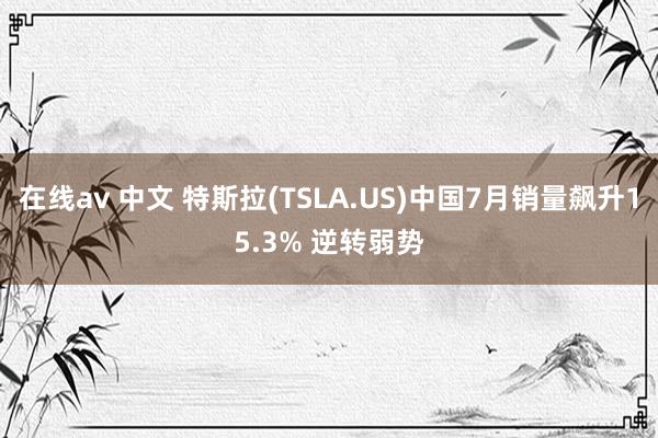 在线av 中文 特斯拉(TSLA.US)中国7月销量飙升15.3% 逆转弱势