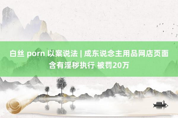 白丝 porn 以案说法 | 成东说念主用品网店页面含有淫秽执行 被罚20万