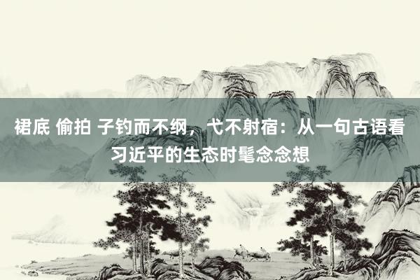 裙底 偷拍 子钓而不纲，弋不射宿：从一句古语看习近平的生态时髦念念想